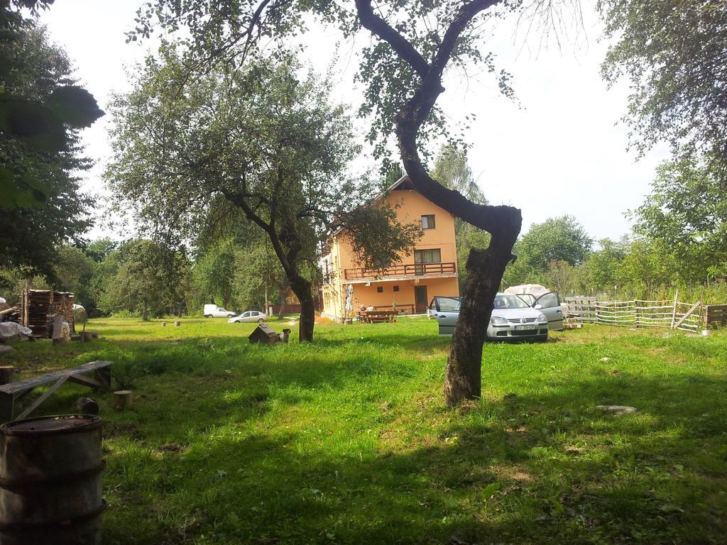 Pensiunea Elena Vistisoara Exterior photo