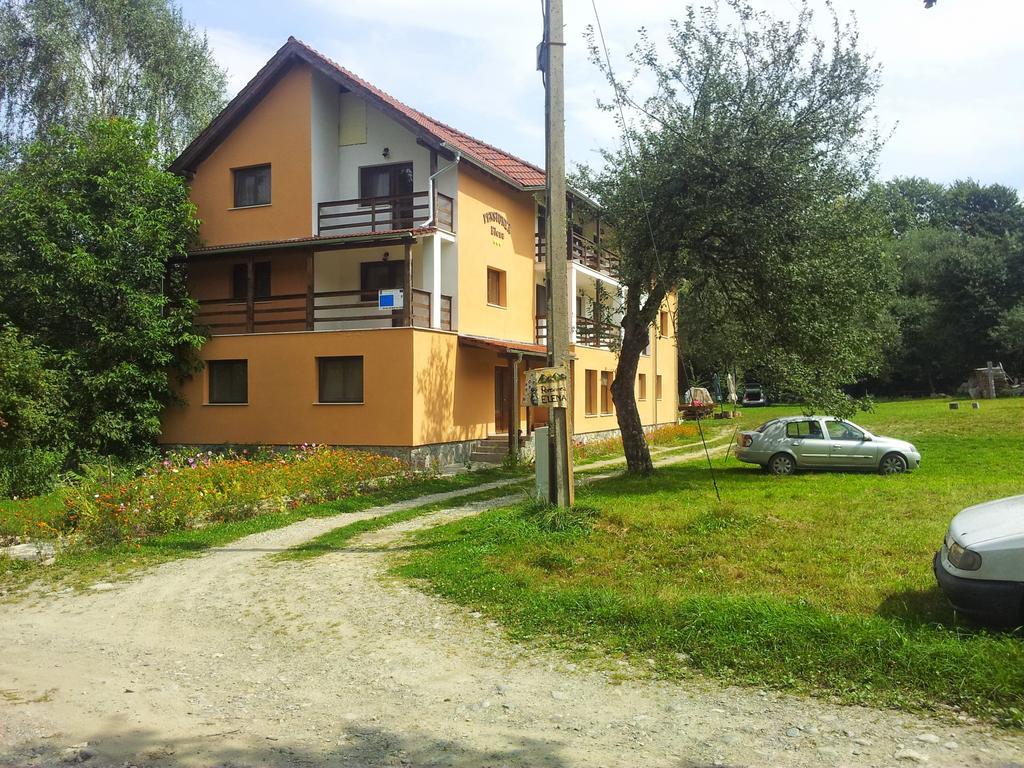Pensiunea Elena Vistisoara Room photo