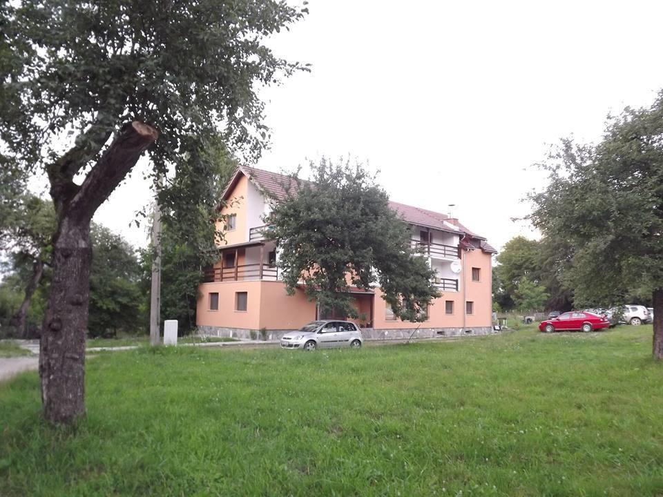 Pensiunea Elena Vistisoara Exterior photo