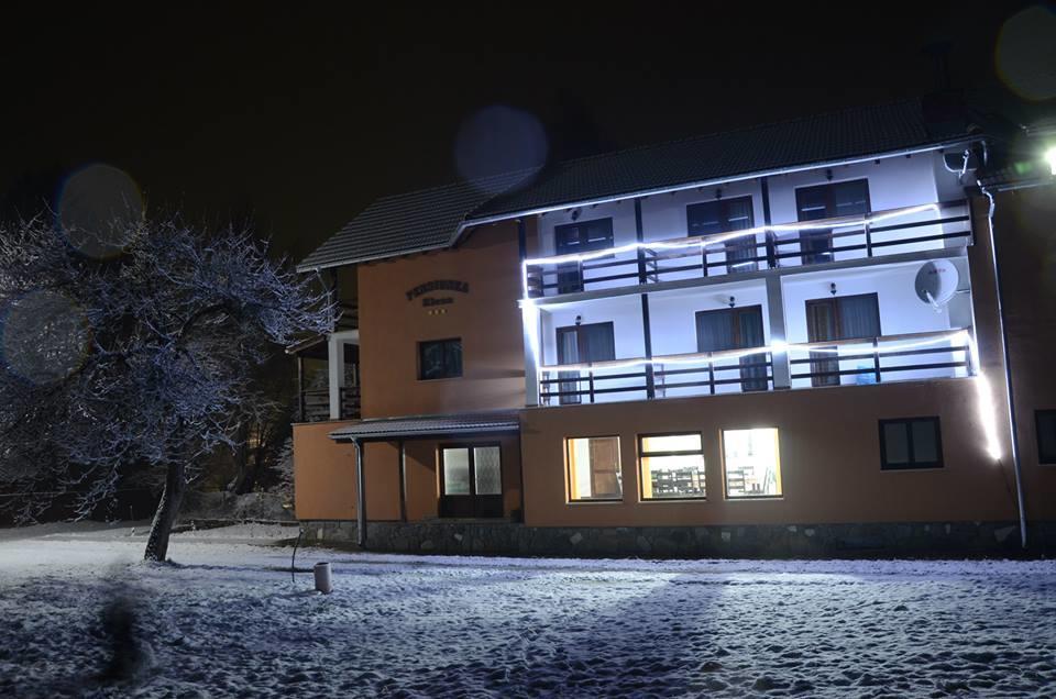 Pensiunea Elena Vistisoara Exterior photo