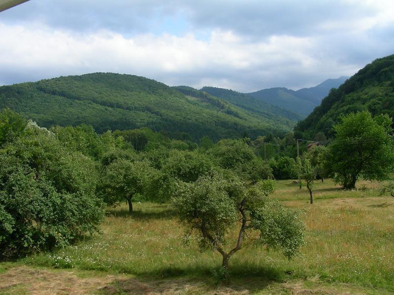 Pensiunea Elena Vistisoara Exterior photo