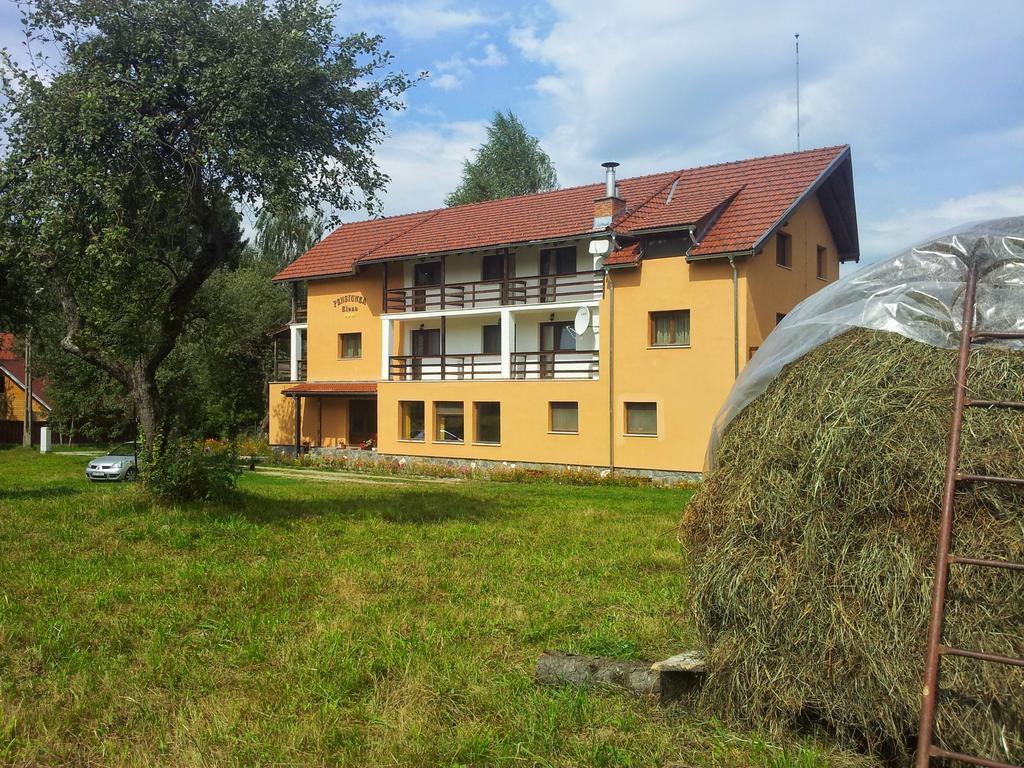 Pensiunea Elena Vistisoara Exterior photo