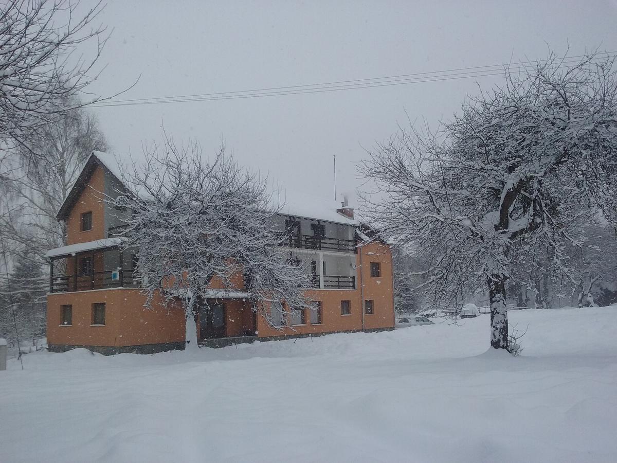 Pensiunea Elena Vistisoara Exterior photo