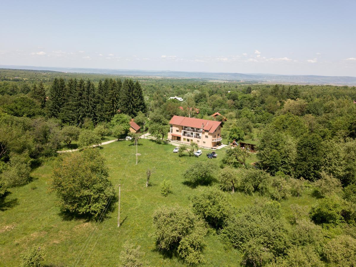 Pensiunea Elena Vistisoara Exterior photo