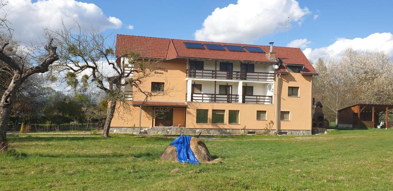 Pensiunea Elena Vistisoara Exterior photo